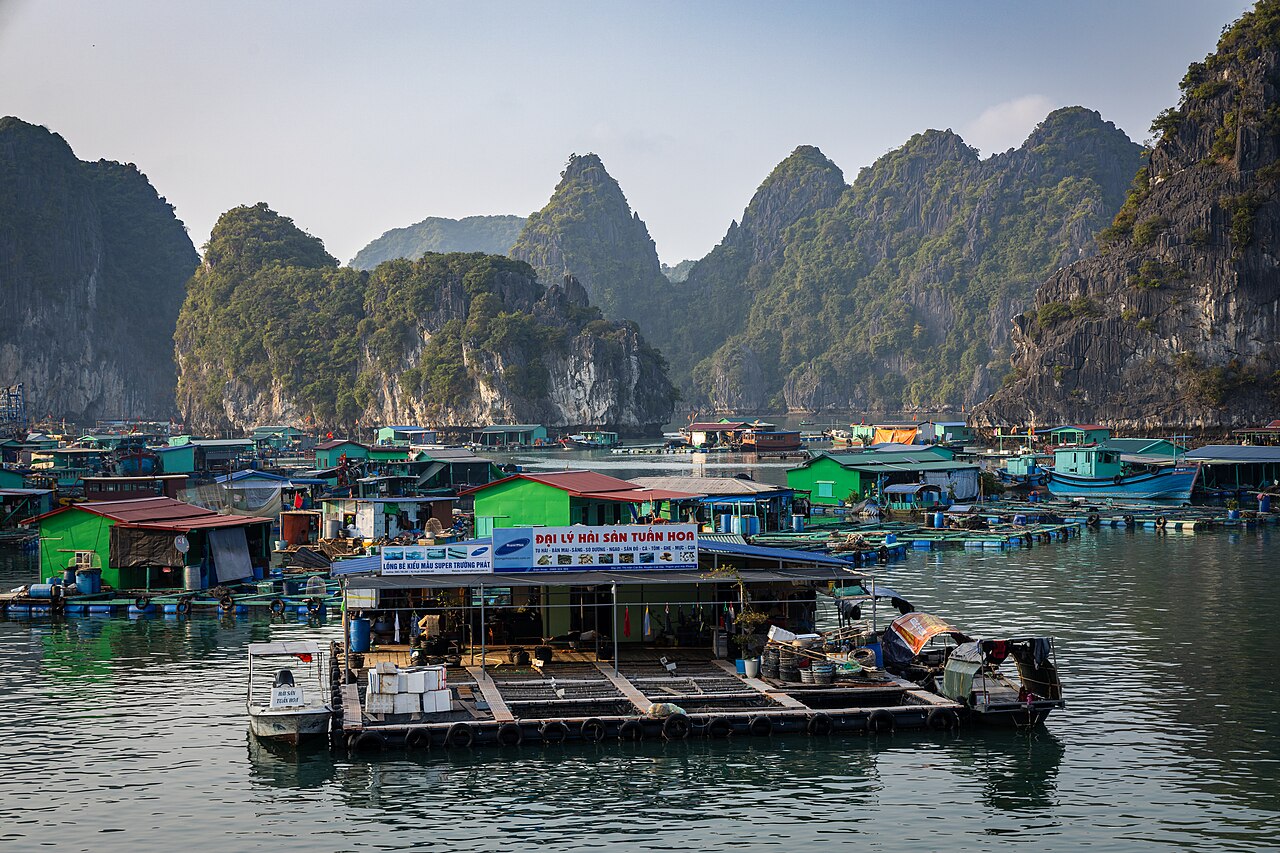 Làng chài Cái Bèo trên vịnh Lan Hạ