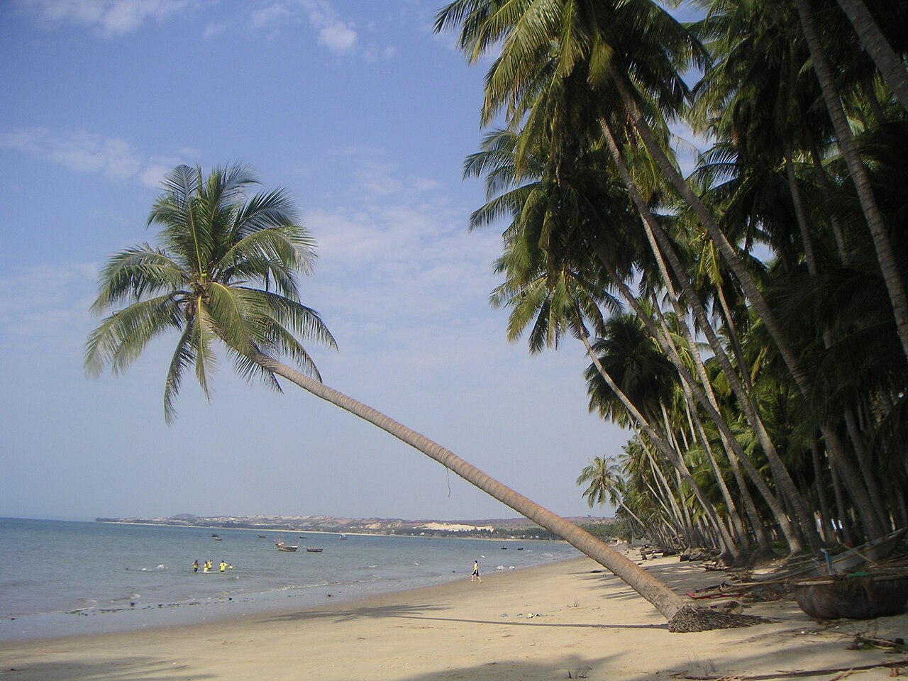 Hàng dừa bên bờ biển Mũi Né