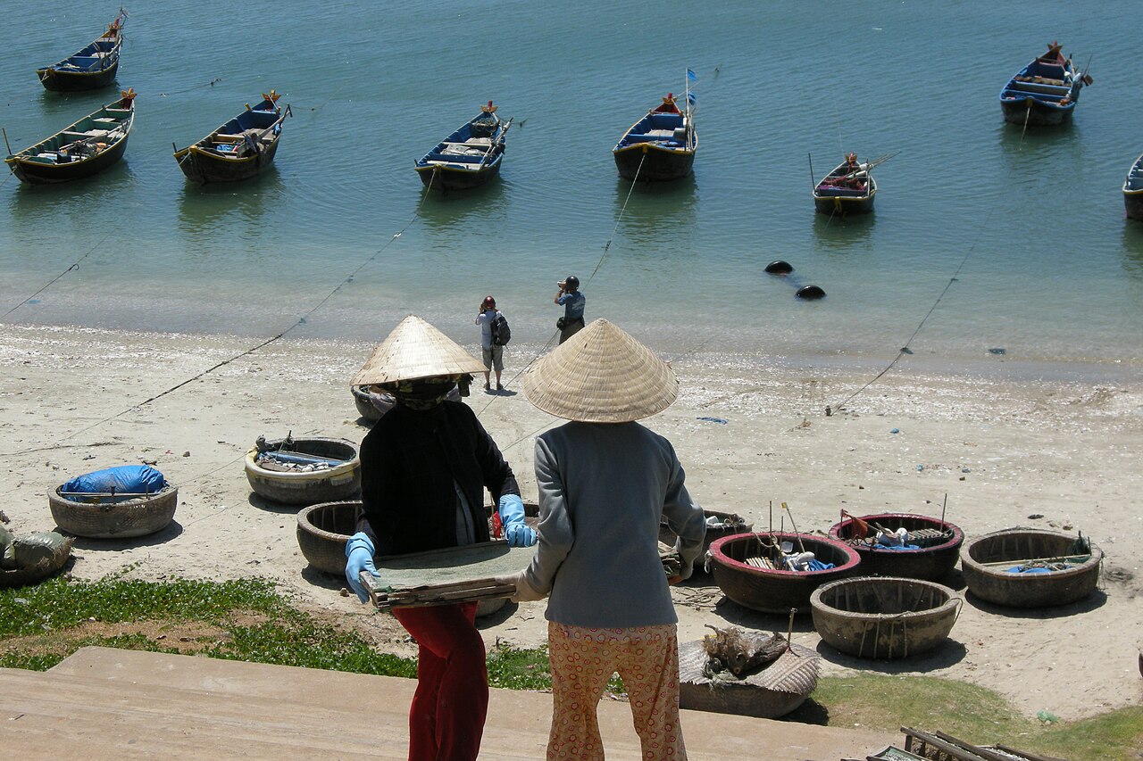 Phụ nữ làng chài phân loại hải sản