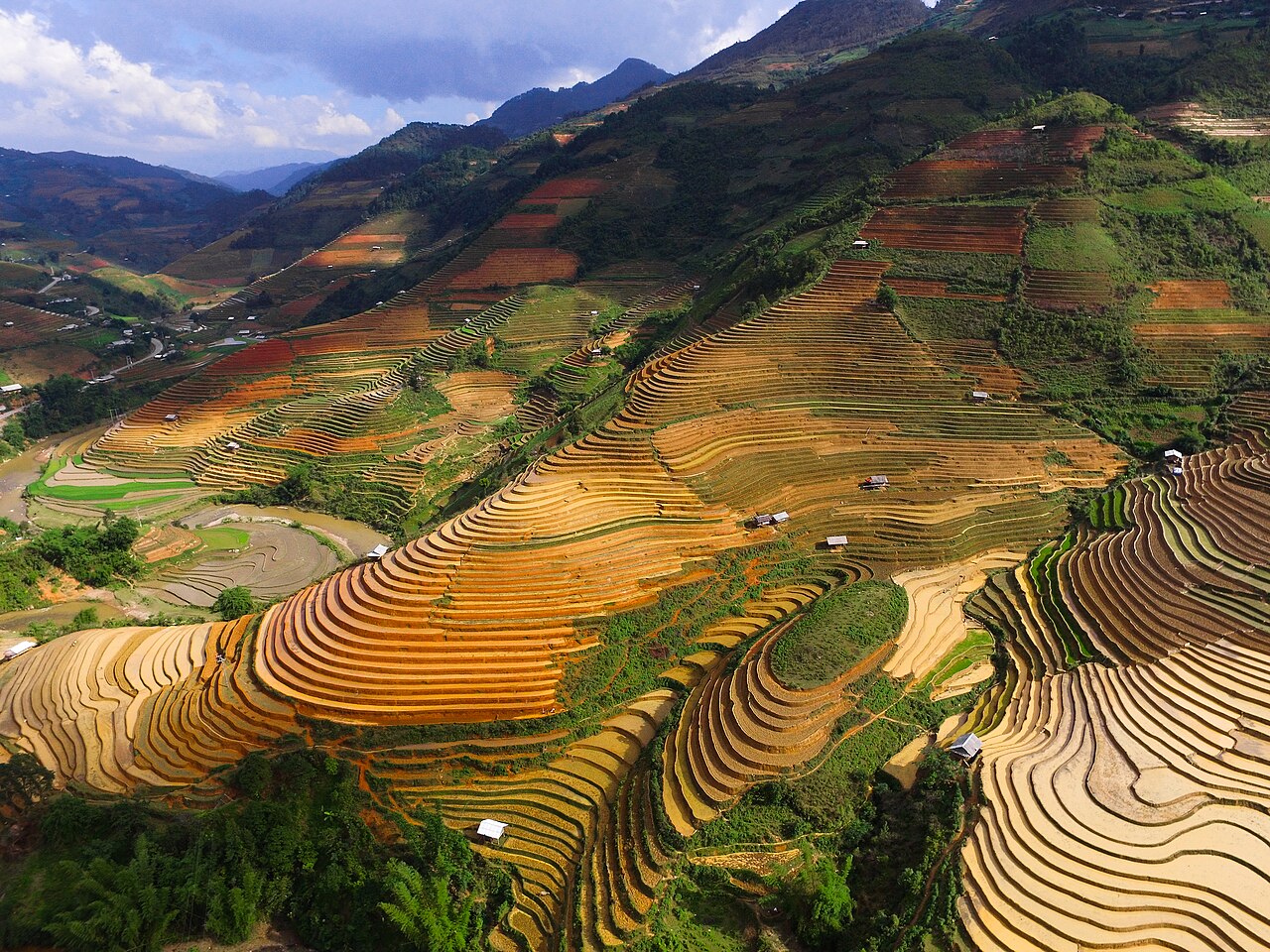 Nét đẹp Mù Cang Chải: ruộng bậc thang mùa vàng, đồi Mâm Xôi, đèo Khau Phạ và Tú Lệ