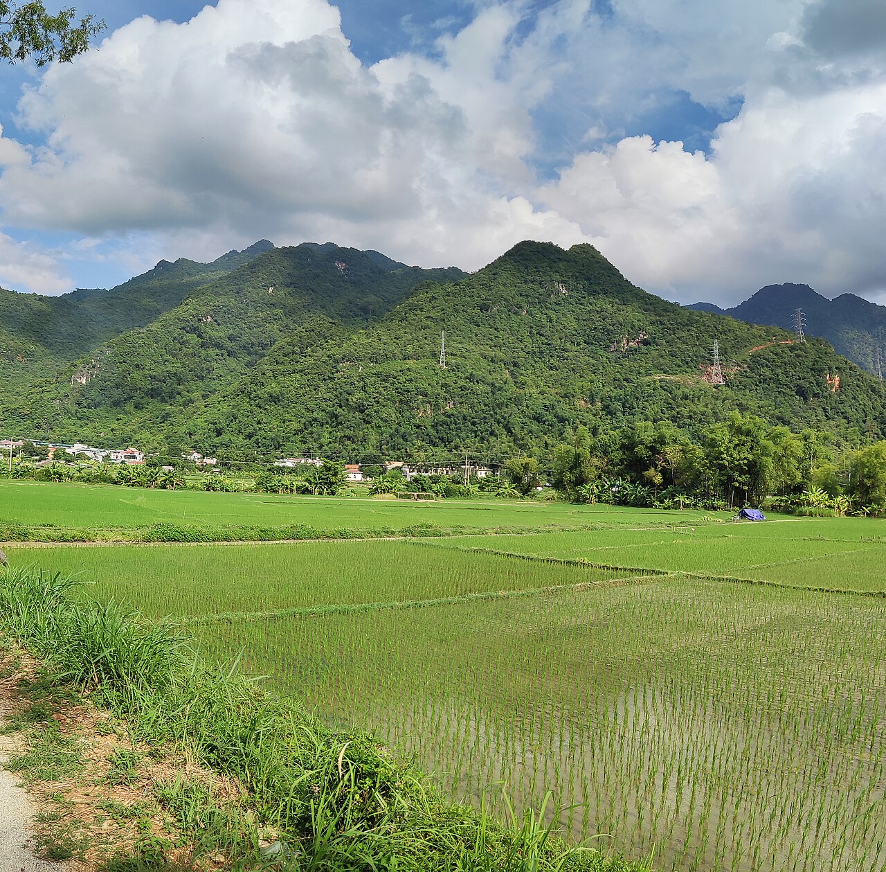 Nét đẹp Mai Châu: thung lũng lúa xanh, bản Lác, nhà sàn Thái và thổ cẩm truyền thống
