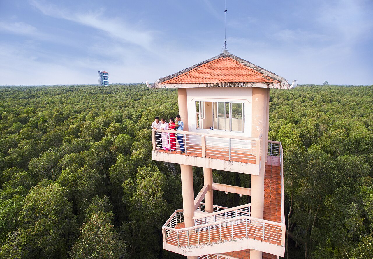 Tháp quan sát giữa rừng tràm Tân Lập