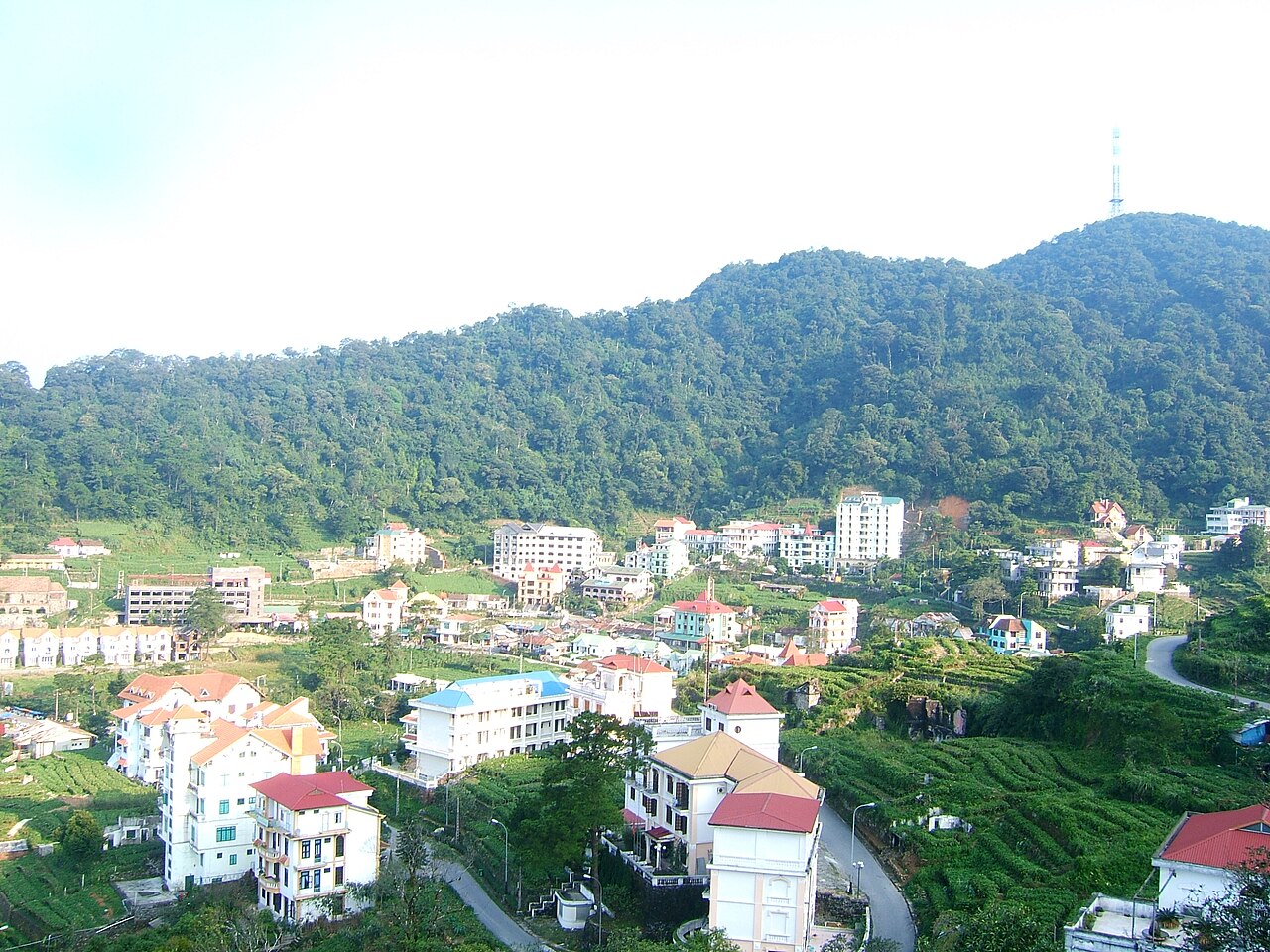Khu du lịch Tam Đảo giữa sườn núi