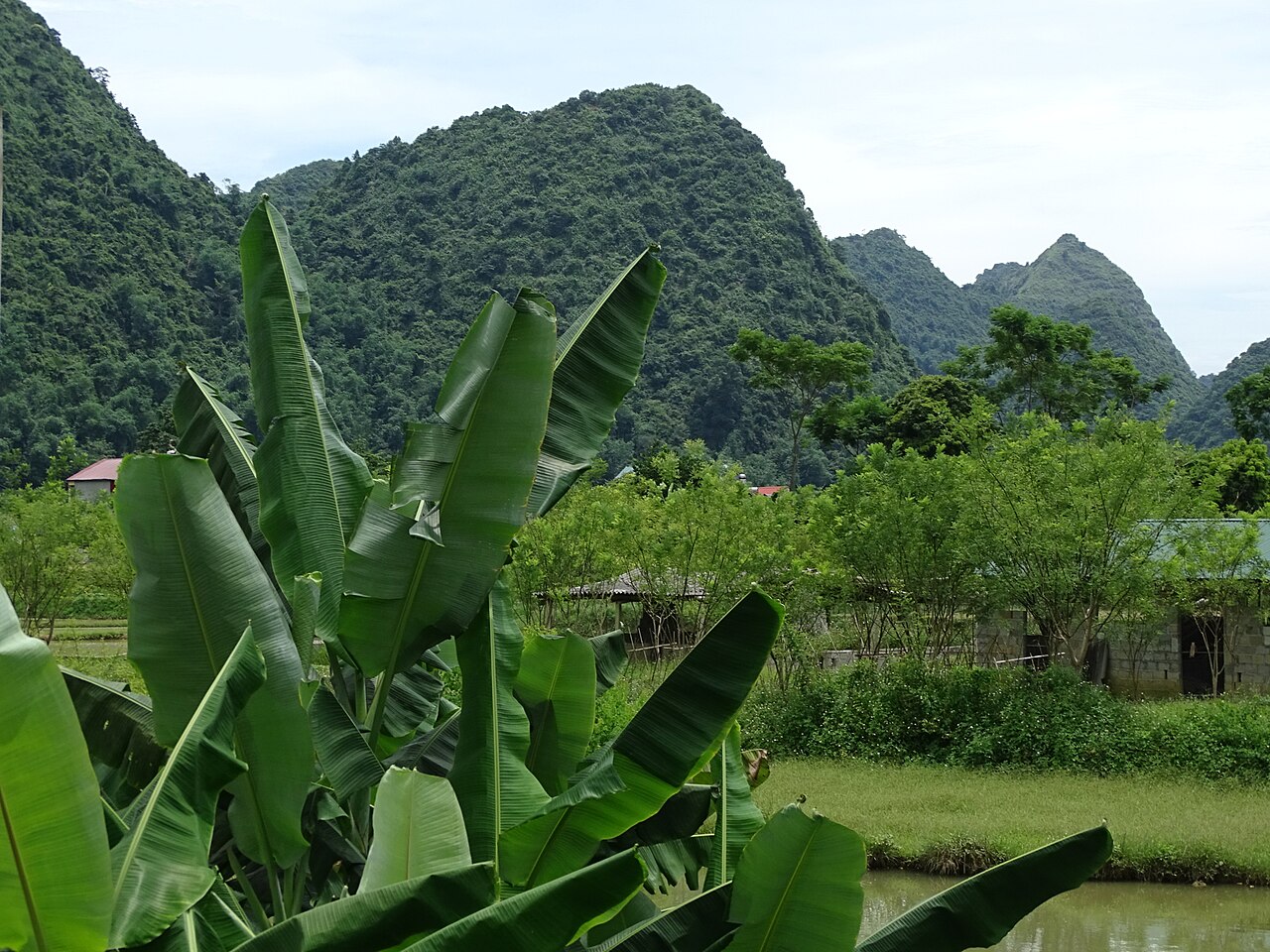 Cánh đồng và núi đá ở Bắc Sơn