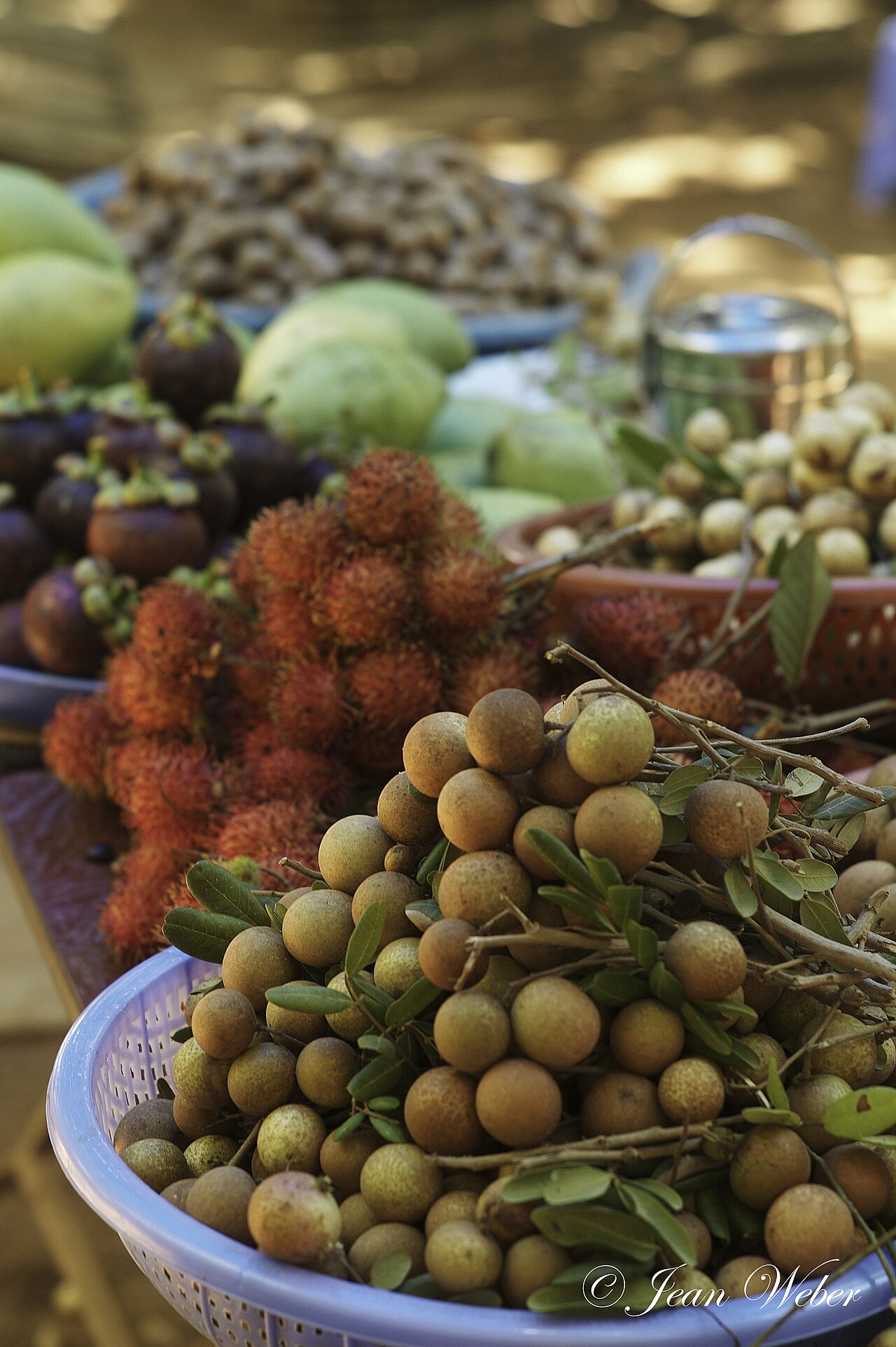 Rambutan and orchard fruits on Thoi Son Islet