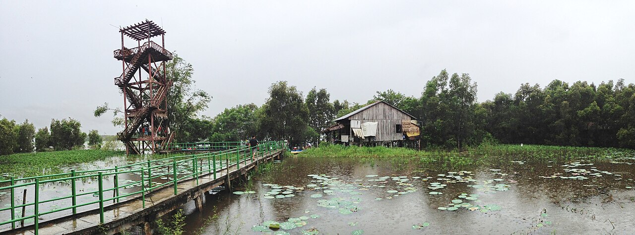 Tháp quan sát ở Tràm Chim