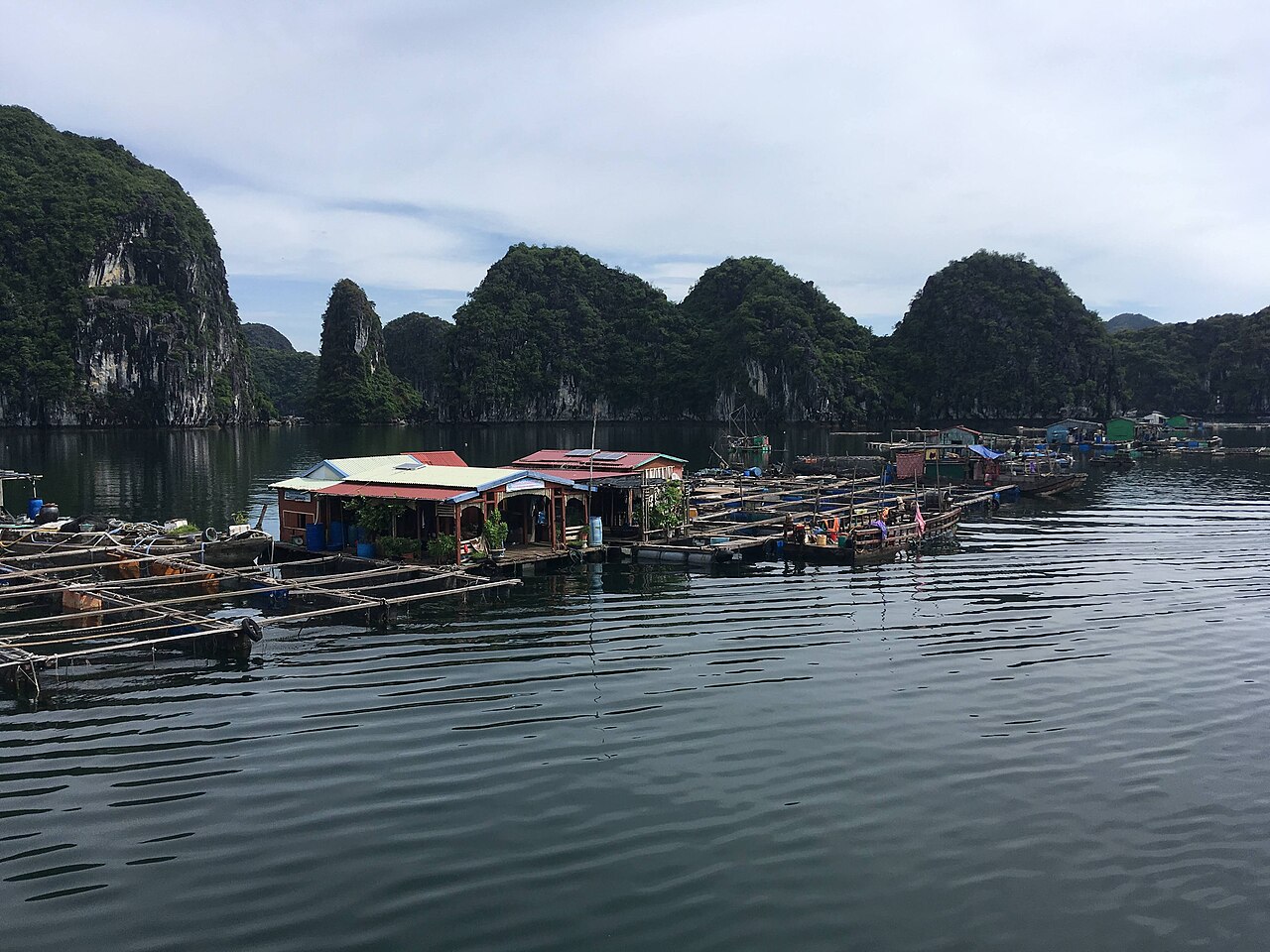Floating fishing village on Lan Ha Bay