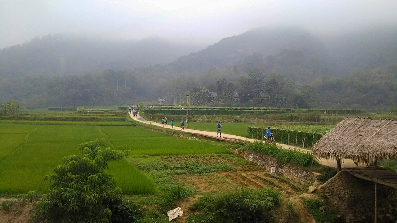 Thung lũng lúa xanh giữa núi ở Pù Luông