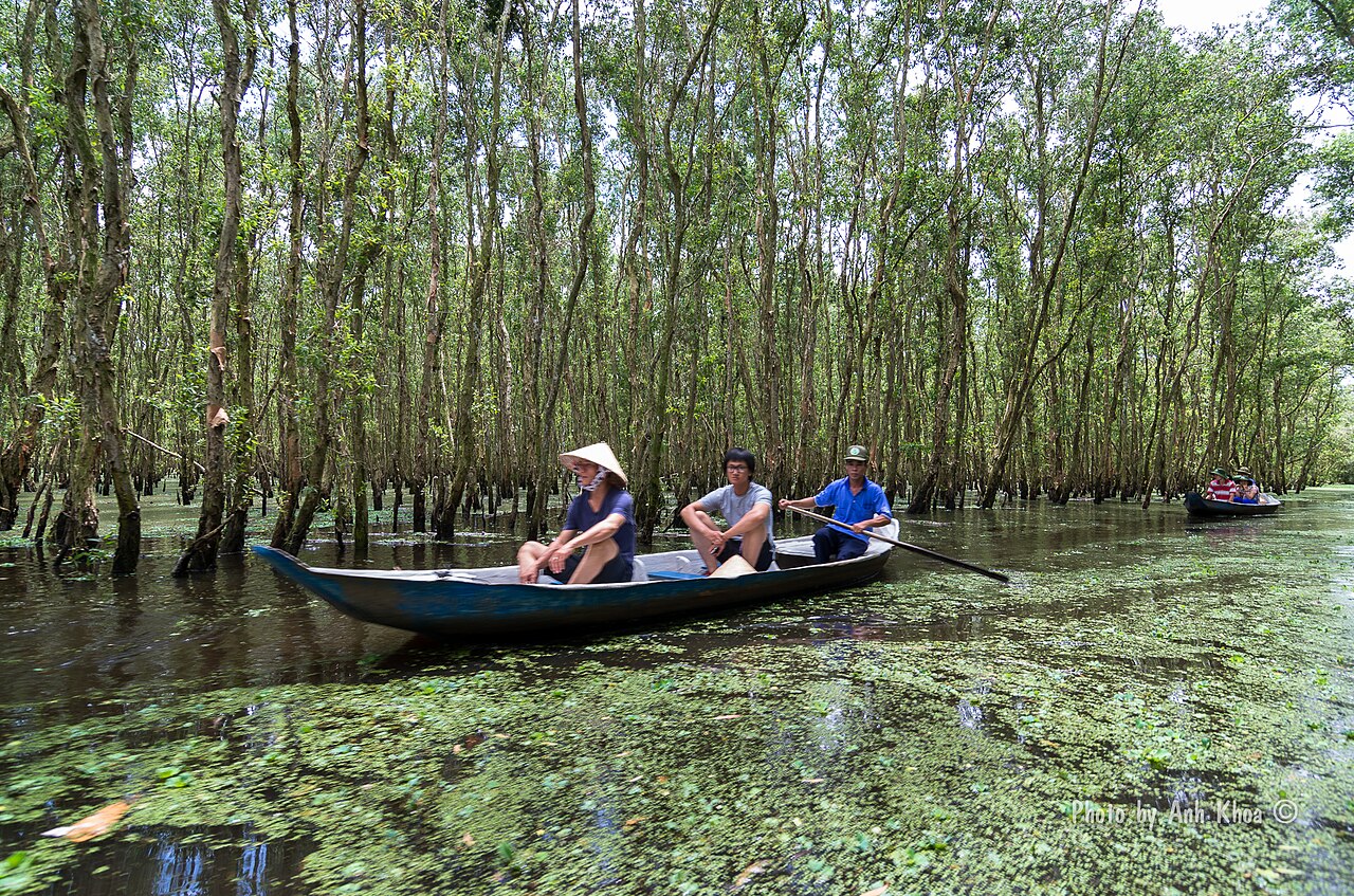 Du khách đi xuồng giữa rừng tràm Trà Sư