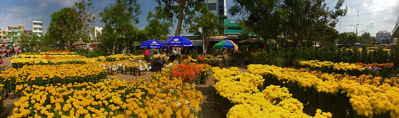 Chợ hoa xuân Tân Châu