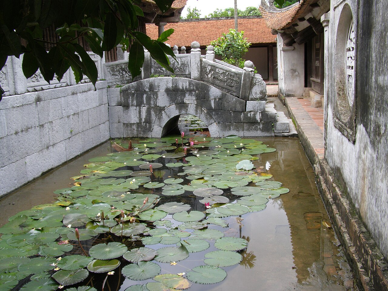 Cầu đá và hồ sen chùa Bút Tháp