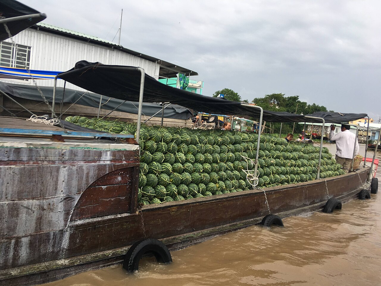 Cai Rang Floating Market Can Tho: What Time to Go, How to Get There & What to Experience