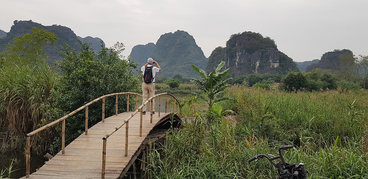 Cây cầu nhỏ giữa đồng lúa Tam Cốc