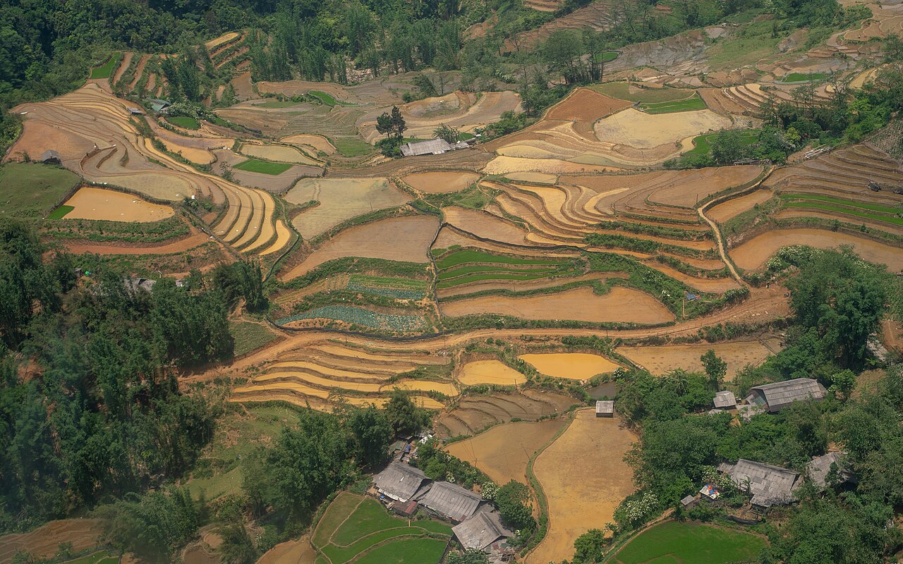 Ruộng bậc thang Sa Pa nhìn từ trên cao