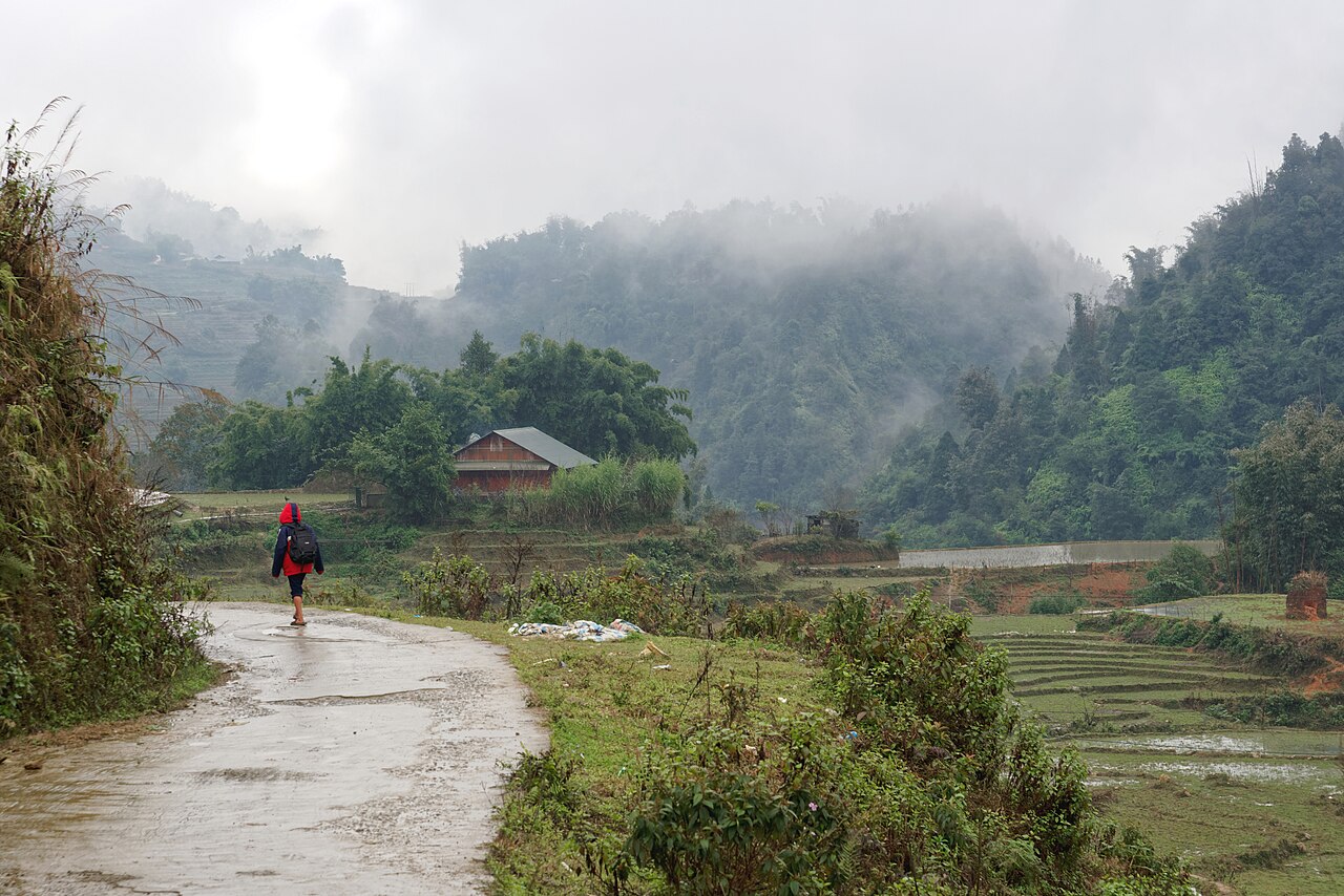 Đường và ruộng bậc thang ở Sa Pa