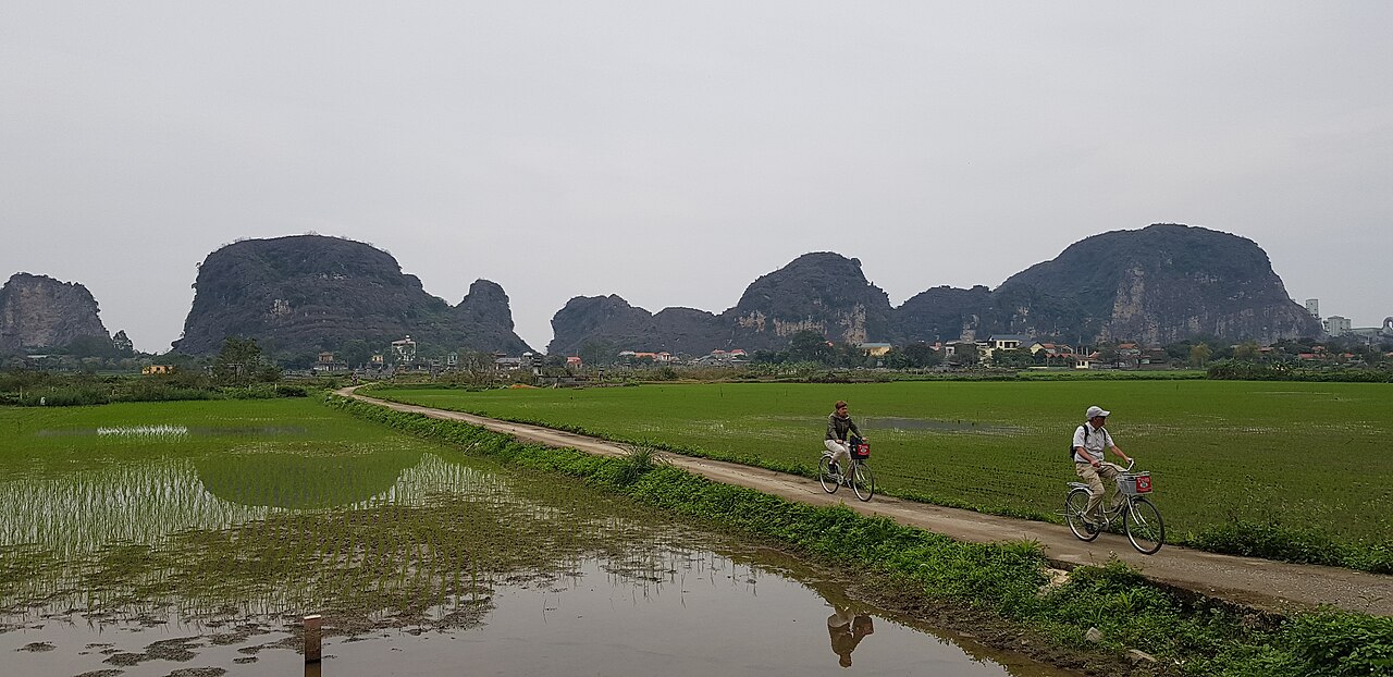 Đường nhỏ ven ruộng ở Tam Cốc