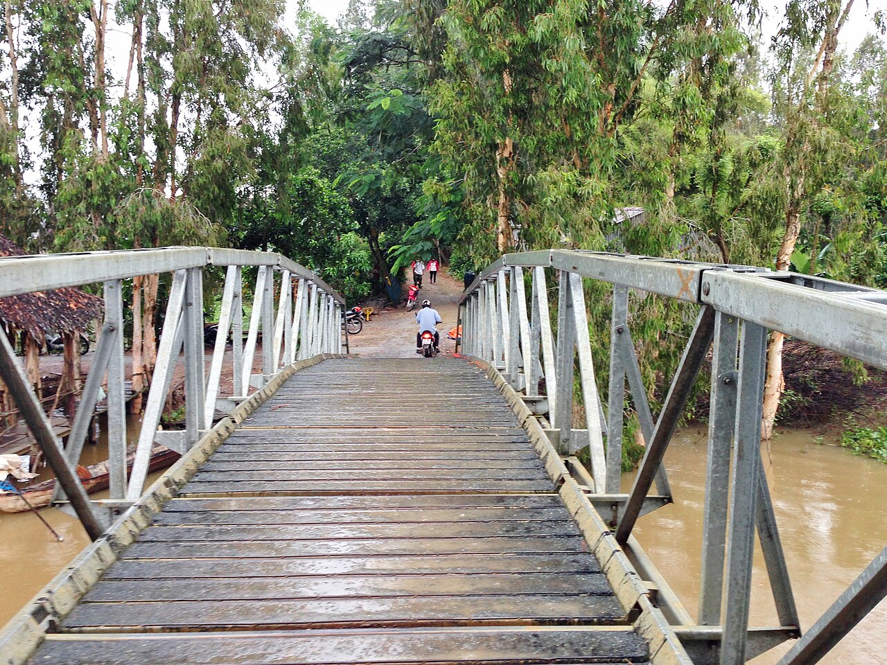 Cây cầu trong rừng tràm Trà Sư