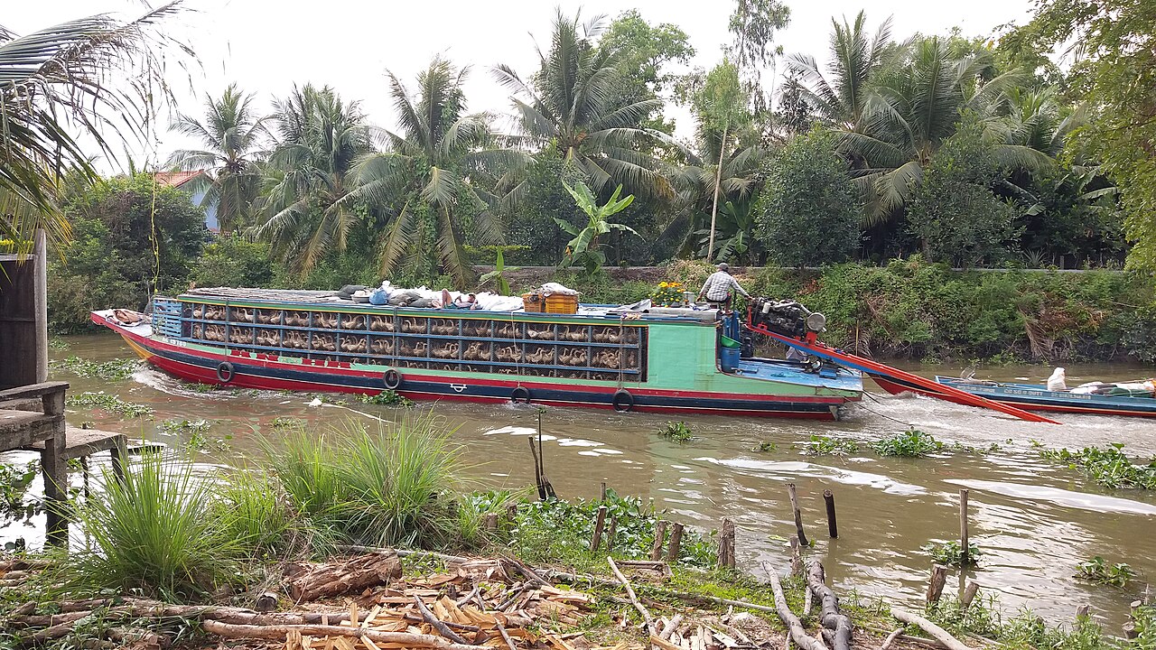 Ghe trên kênh vùng Tháp Mười