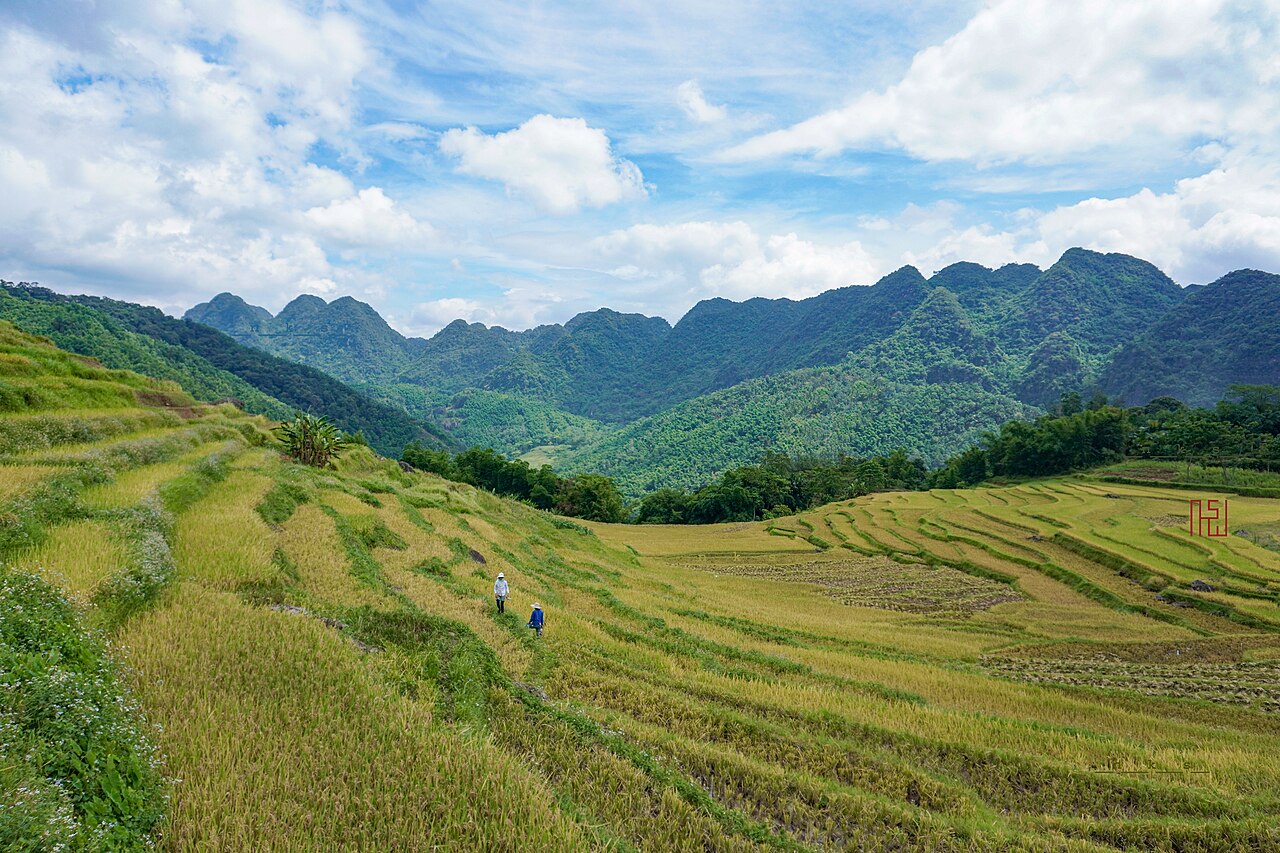 Ruộng bậc thang Pù Luông uốn quanh sườn đồi