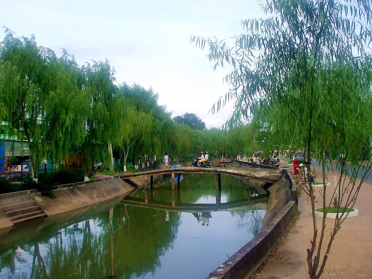 Hàng liễu rủ bên kênh ở Sa Đéc