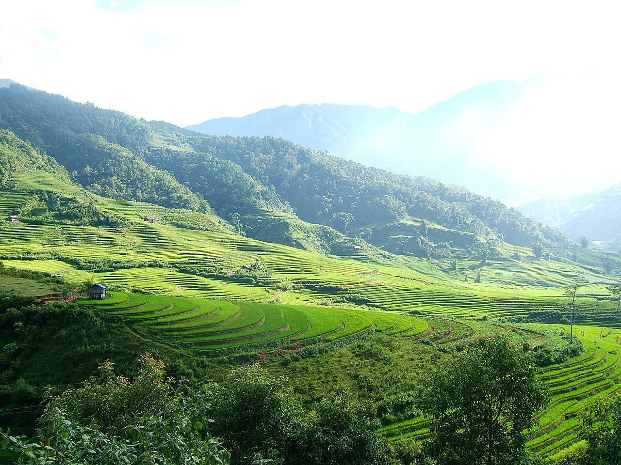 Cánh đồng ruộng bậc thang ở Trạm Tấu