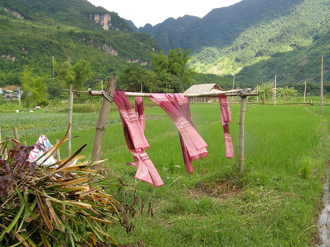Vải được phơi ngoài trời ở Mai Châu