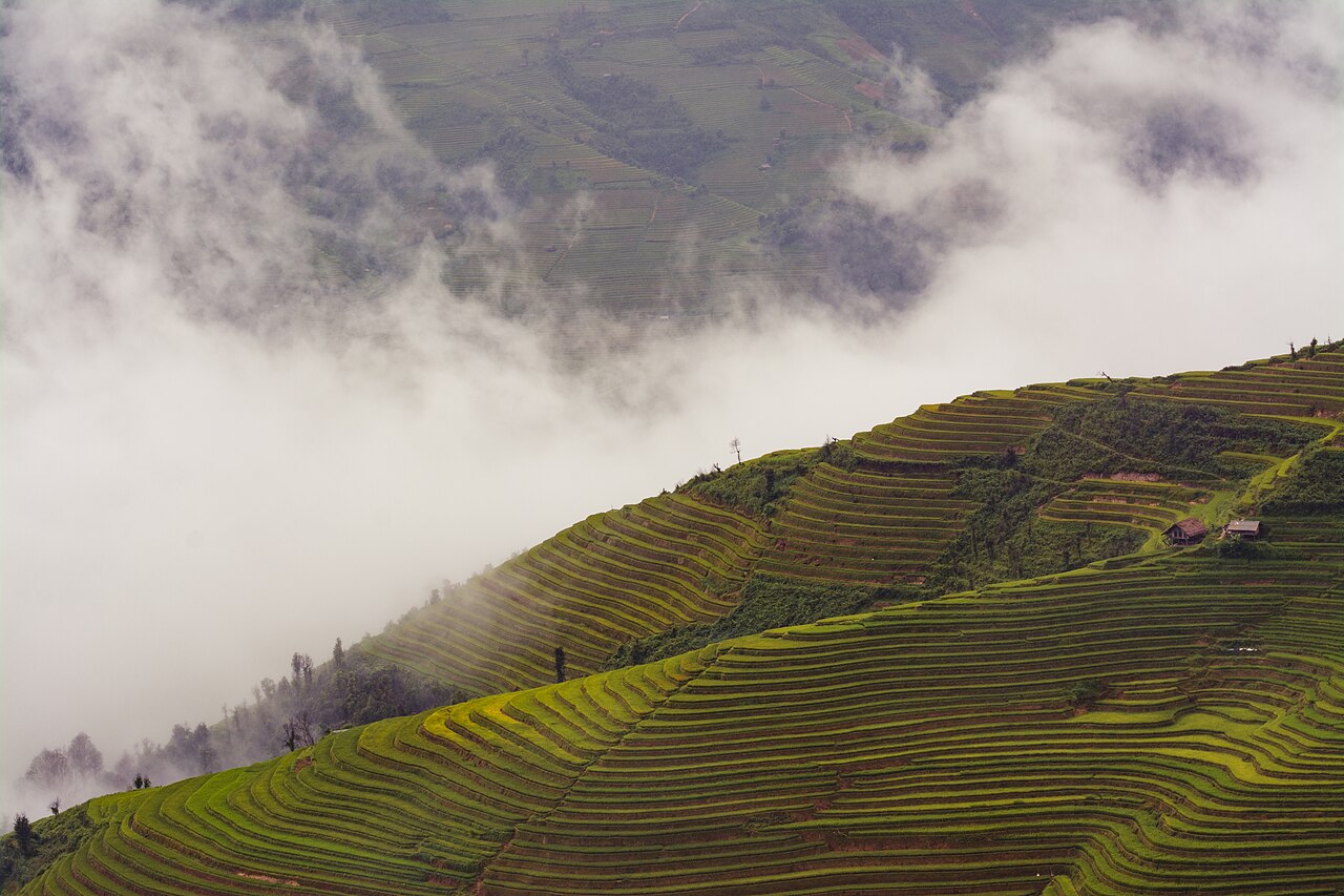 Ruộng bậc thang La Pán Tẩn