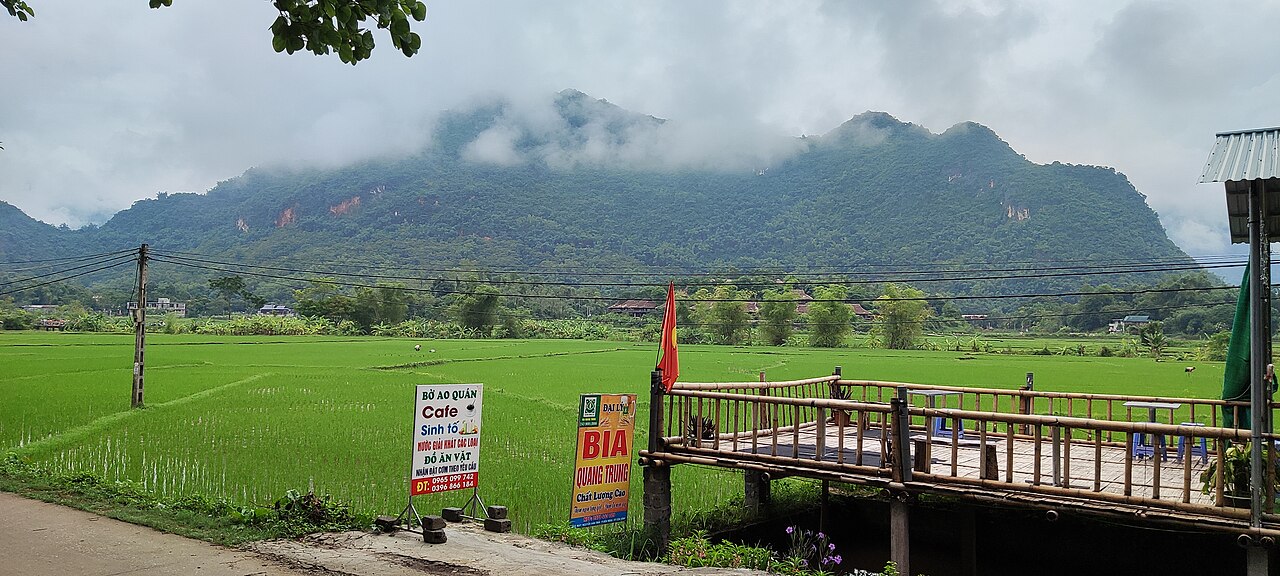 Lối đi giữa cánh đồng Mai Châu
