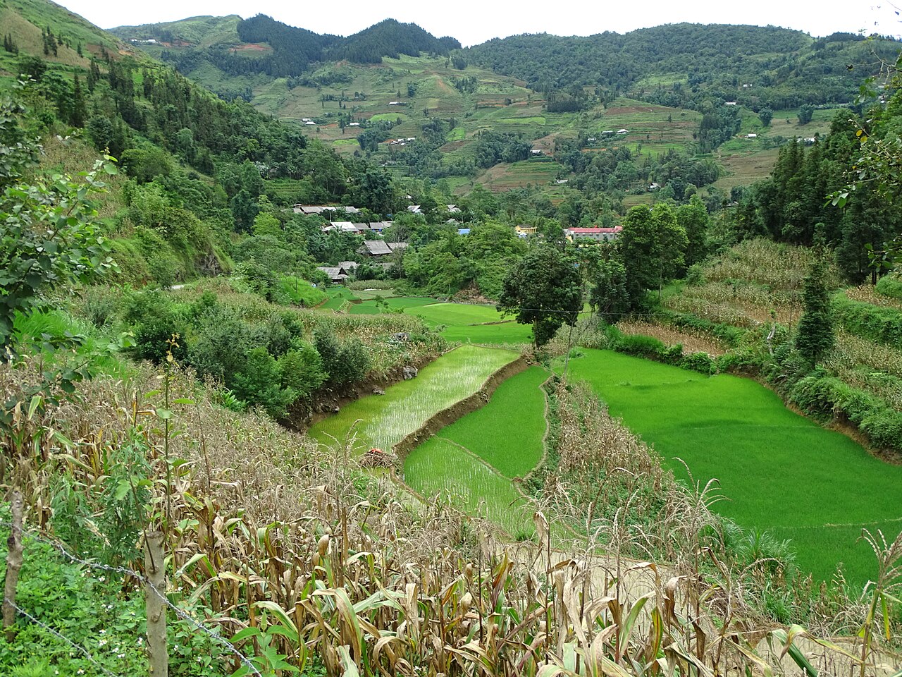Thung lũng xanh quanh Bắc Hà